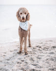 The Paws - Palm Springs Dog Bandana