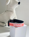 Peach Personalised Pet Collar - Add your Pets Name