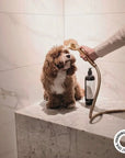 2-in-1 Conditioning Dog Shampoo | L'hermitage 37: 500mL