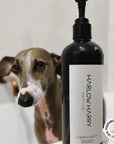 2-in-1 Conditioning Dog Shampoo | L'hermitage 37: 500mL