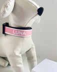 Pink Personalised Pet Collar - Add your Pets Name