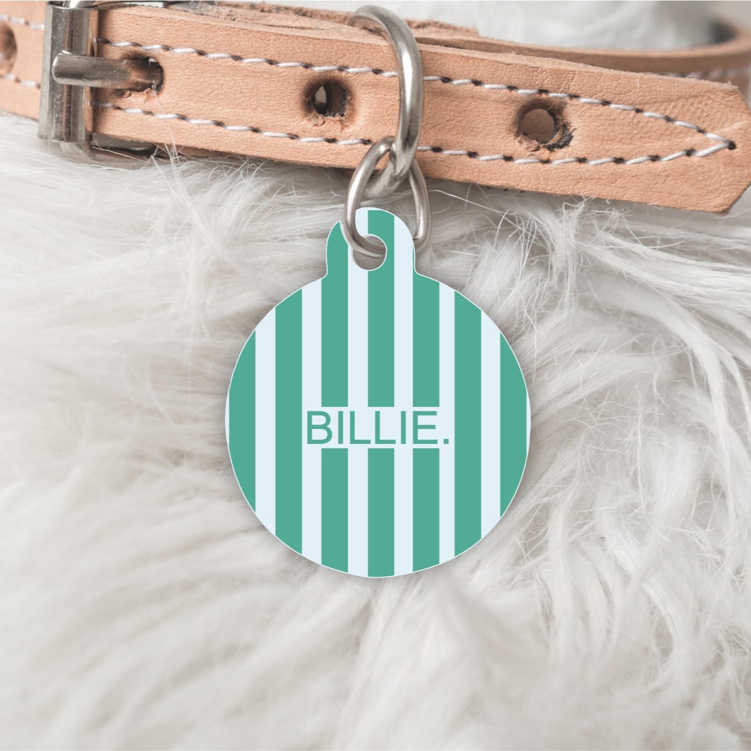 Striped Personalised Pet dog or cat ID Tag Turquoise/Blue