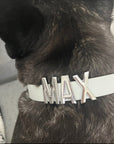 Grey smooth collar with personalised hardware (Includes Up to 6 Letters)