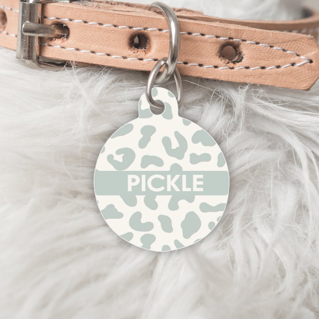 Pet ID Tag- Pickle