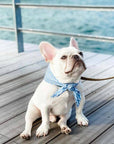 The Paws - Perfect Wave Dog Bandana
