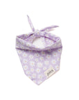 The Paws - Belle Dog Bandana