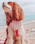 The Paws Cabana Blush Pink Dog Bandana