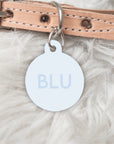Blue dog tag