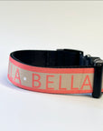 Personalised Pet Collar - Add your Pets Name