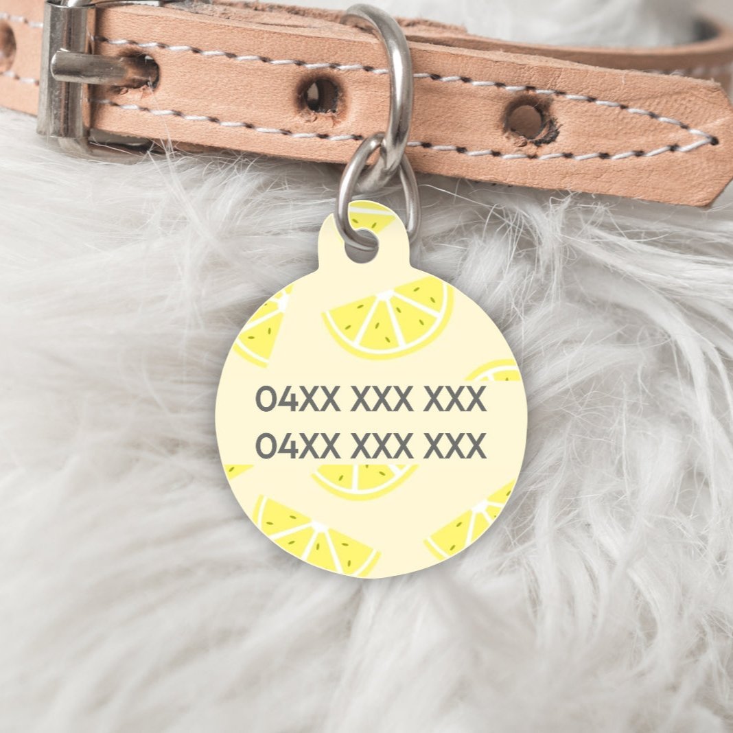 Pet ID Tag-Lemon
