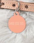 The Holly Personalised Pet dog or cat ID Tag - The Gelato Collection