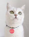 Small 25mm Personalised Pet Cat ID Tag - The Gelato Collection for Kitty's