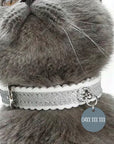 Small 25mm Flower Personalised Pet Cat ID Tag - The Winter Max
