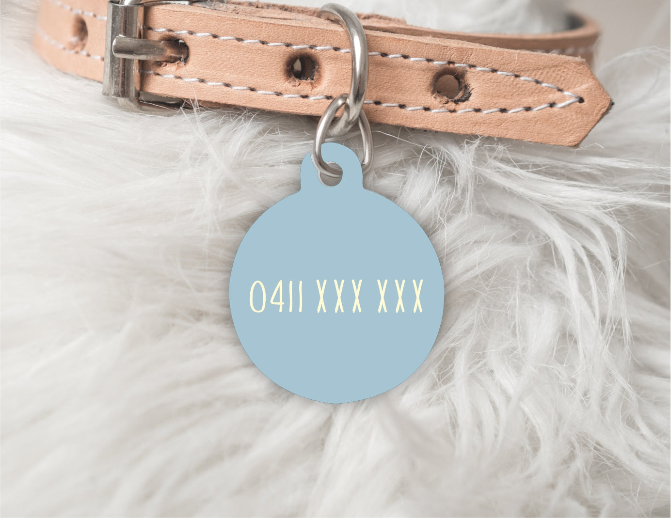 Teal dog hot sale tag