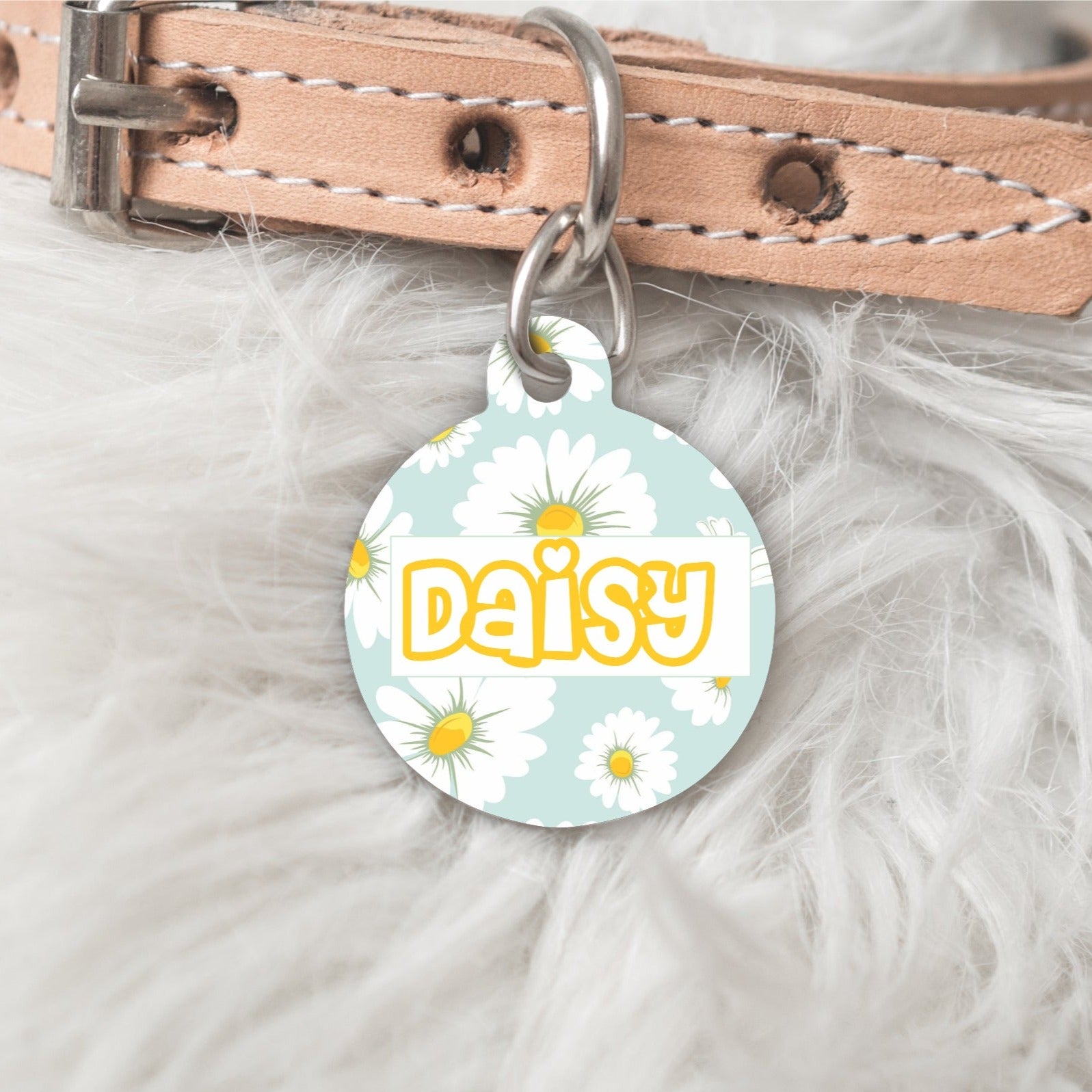 Daisy dog hotsell tags for pets