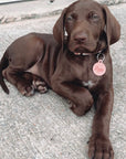 The Winter Edit - Personalised Pet dog or cat ID Tag - Ellie