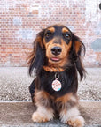 Pet ID Tag - The Frankie