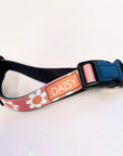 Personalised Pet Collar - Daisy Print - Add your Pets Name