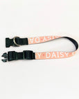 Personalised Pet Collar - Add your Pets Name