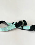 Personalised Pet Collar - Add your Pets Name