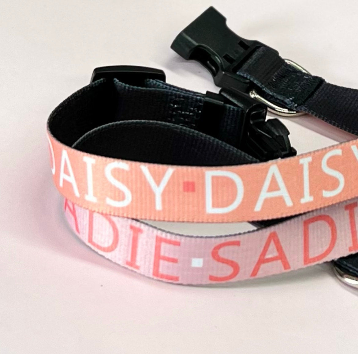 Personalised Pet Collar - Add your Pets Name