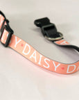 Personalised Pet Collar - Add your Pets Name