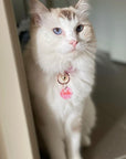 Small 25mm Flower Personalised Pet Cat ID Tag - Daisy