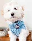 The Terrazzo Collection Double sided Koby Pet dog or cat ID Tag