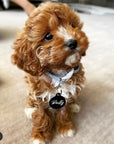 The Winter Edit- Double sided Pet dog or cat ID Tag - Diesel