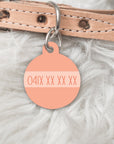 Neutral Rainbow Pet dog or cat ID Tag - Lola