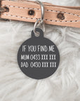 The Terrazzo Collection Double sided Scout Pet dog or cat ID Tag