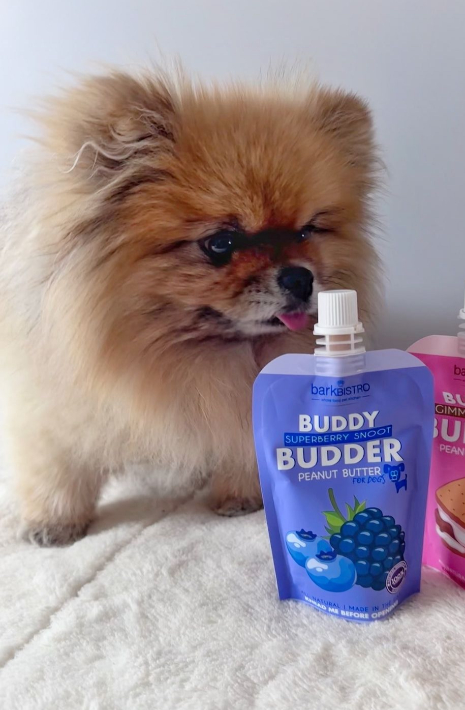 Buddy Budder