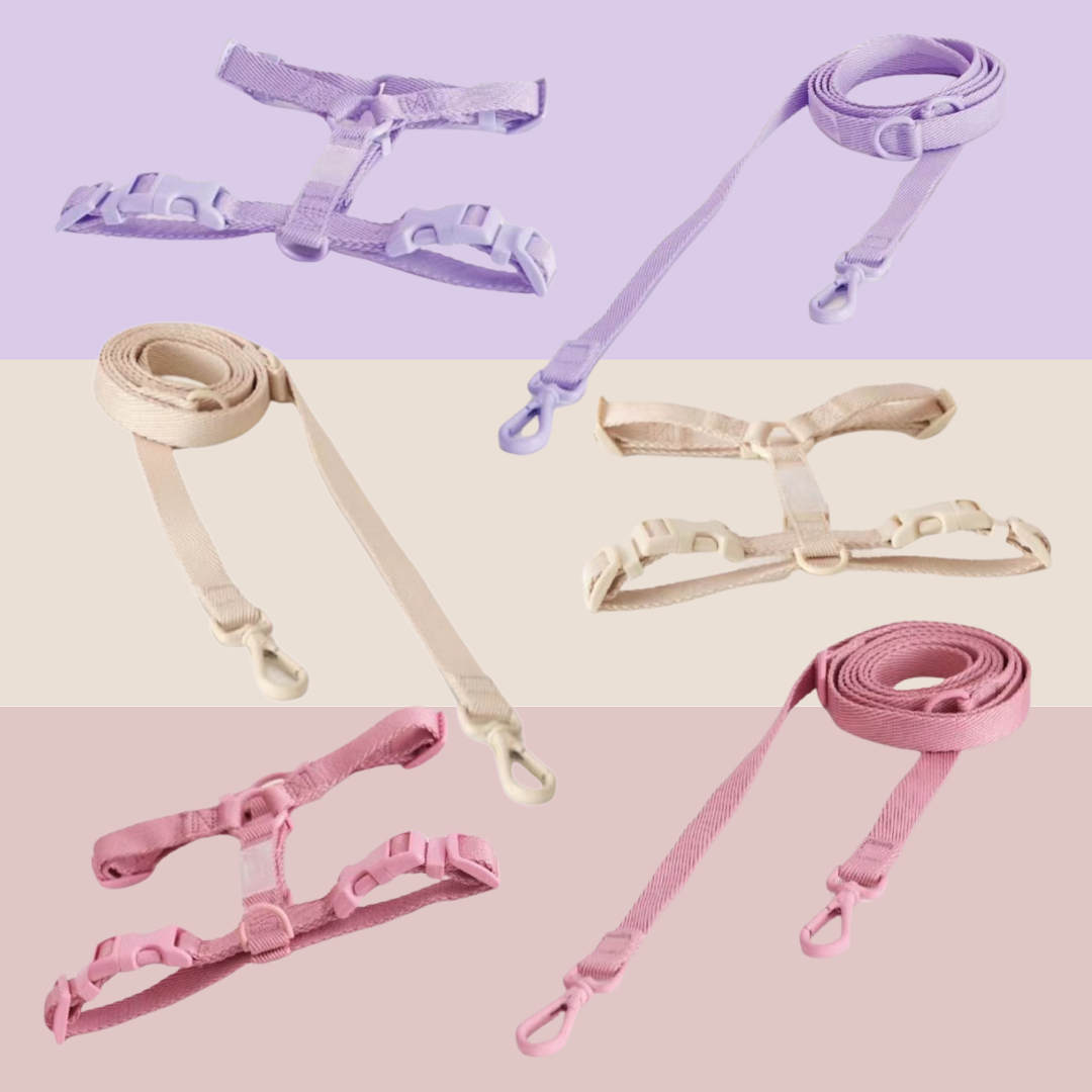 Sorbet Harness Collection