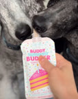 Buddy Budder - Birthday Bash