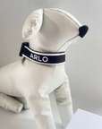 Black & White Personalised Pet Collar - Add your Pets Name