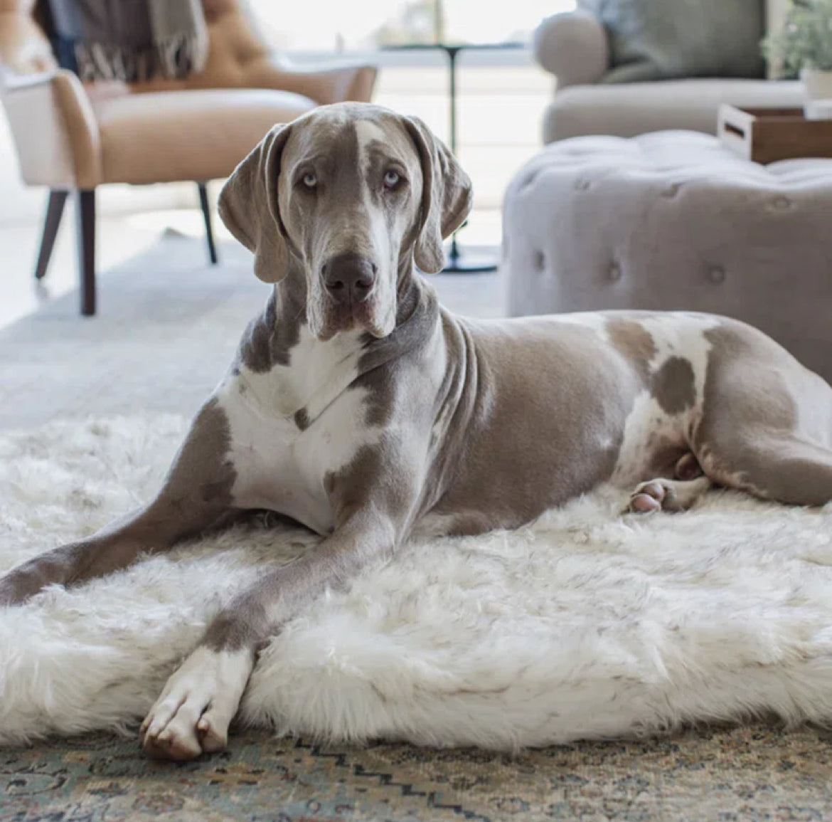 Faux Fur Pet Rug by Hound &amp; Home