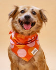 The Paws - Judy Dog Bandana