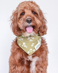 The Paws Pippin Dog Bandana