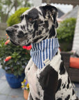 The Paws Harbour Dog Bandana