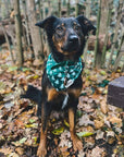 The Paws - Christmas Rainier Dog Bandana