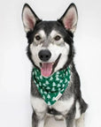 The Paws - Christmas Rainier Dog Bandana