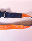 Personalised Pet Collar - Add your Pets Name!