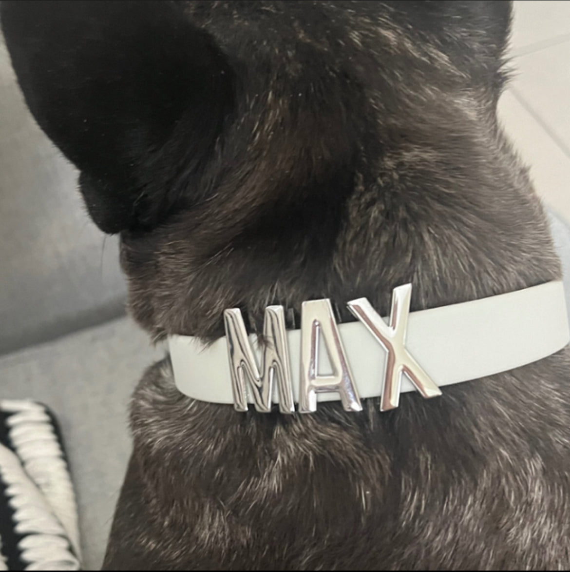 Grey smooth  collar with personalised hardware (Includes Up to 6 Letters)