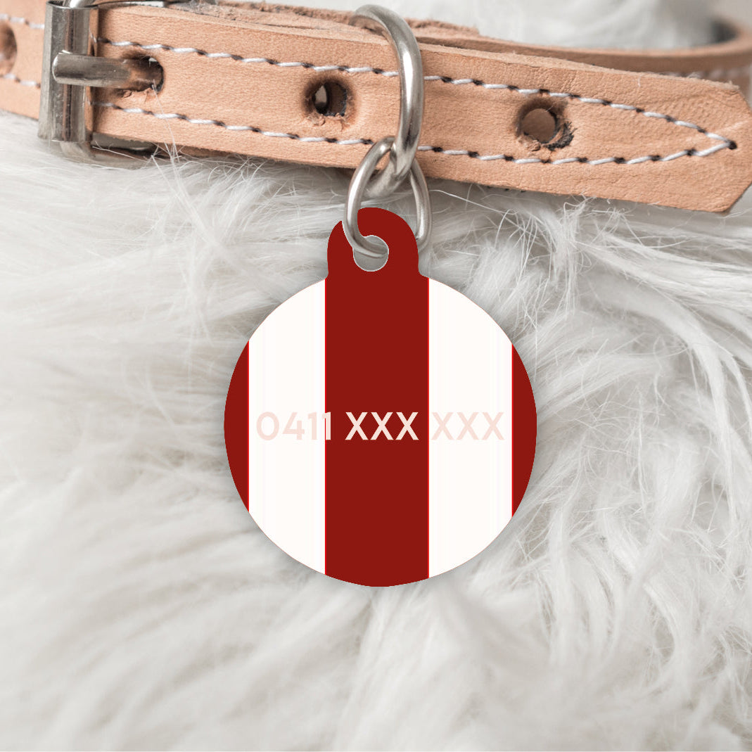 Dog collar with a red and white pet tag on a fluffy white background