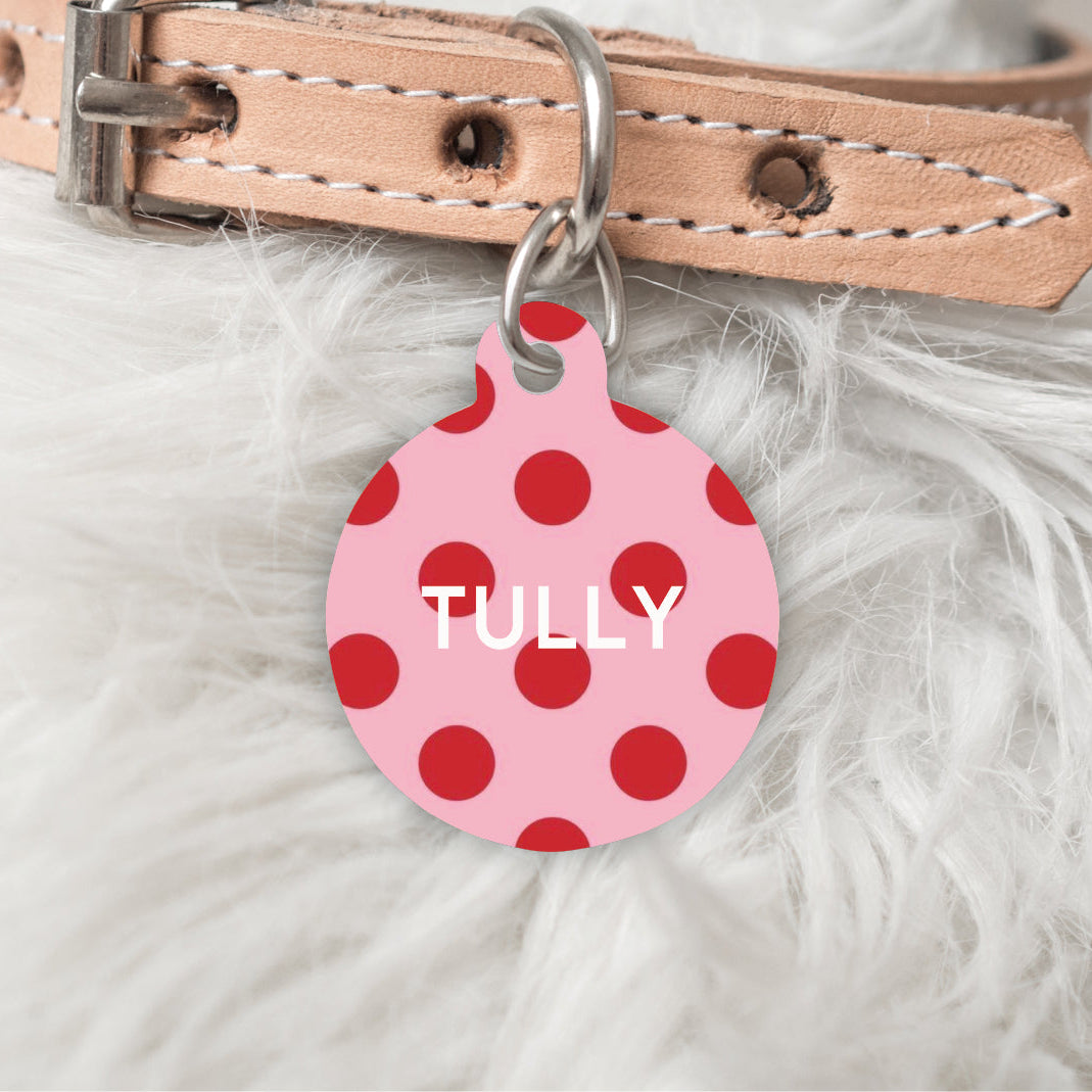 Pink polka dot dog tag with 'TULLY' on a beige leather collar on a white fur background