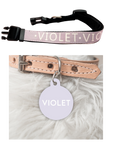 'Colour Pop' Tag & Collar Bundle - Violet