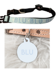 'Colour Pop' Tag & Collar Bundle - Blue