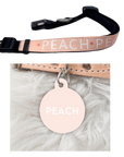 'Colour Pop' Tag & Collar Bundle -  Peach