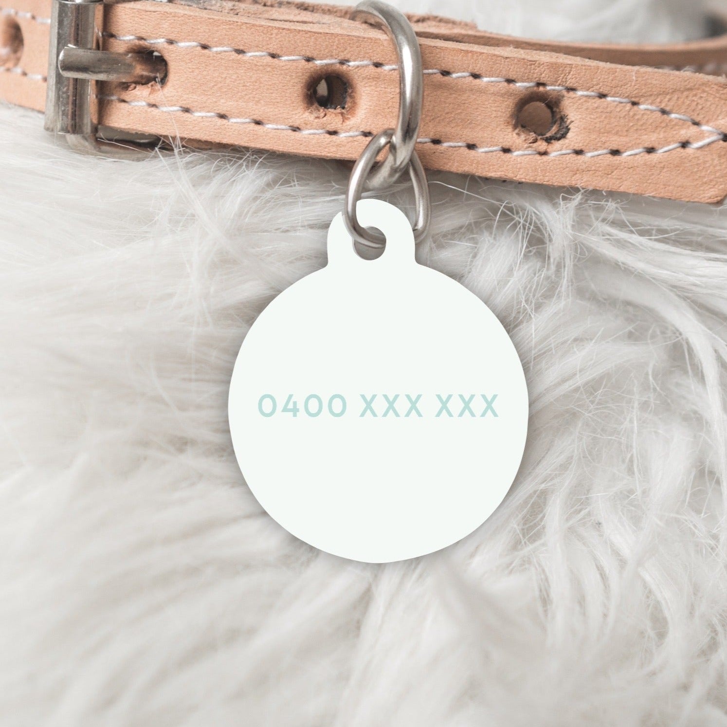 Colour Pop Pastel Green Personalised Pet dog or cat ID Tag