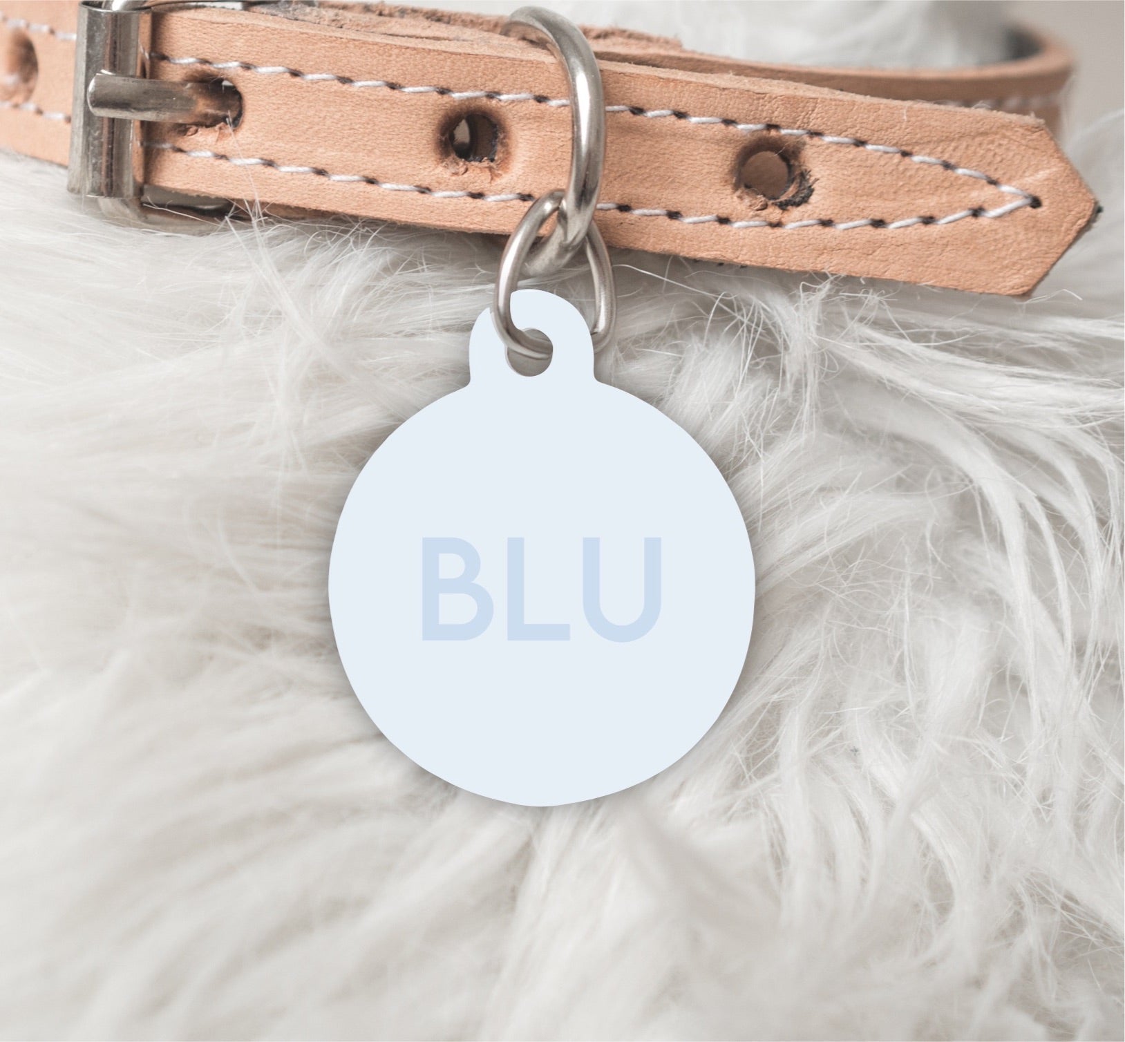 Blue  dog tag